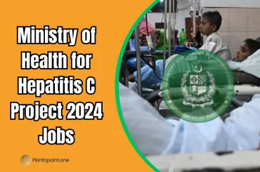 Ministry of Health for Hepatitis C Project 2024 Jobs