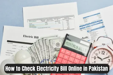 How to Check Electricity Bill Online in Pakistan