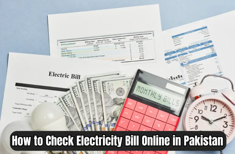 How to Check Electricity Bill Online in Pakistan