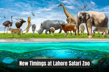 New Timings at Lahore Safari Zoo